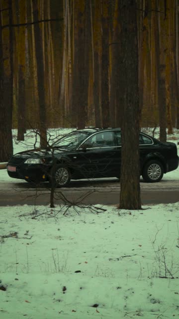 Passat, зима